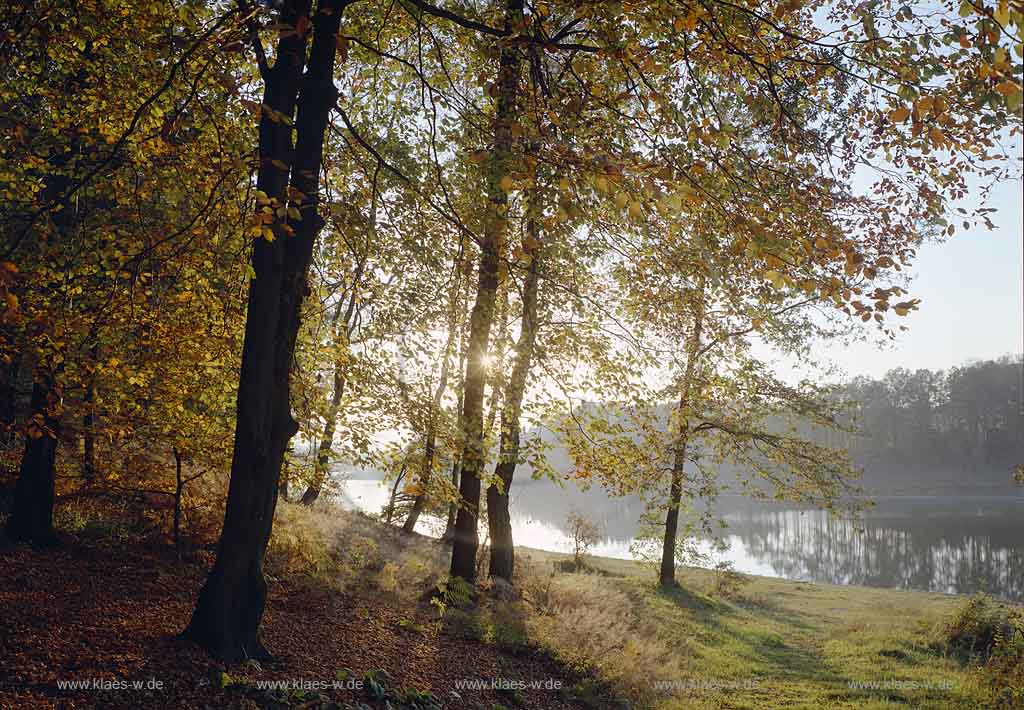 Hckeswagen, Hueckeswagen, Radevormwald, Bergisches Land, Oberbergischer Kreis, Blick auf Bever, Bevertalsperre in Herbstlandschaft