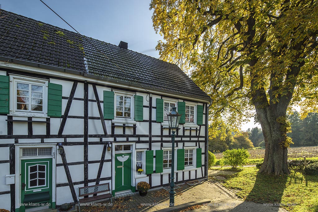 Burscheid-Herkensiefen, Fachwerk-Doppelhaus mit Naturdenkmal Rosskastanie.