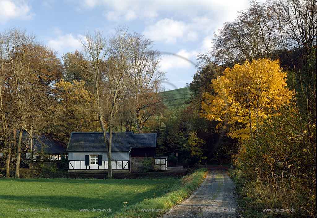 Bickenbach, Engelskirchen, Oberbergischer Kreis, Bergisches Land, Blick auf Oelchens, lchens Hammer in Herbstlandschaft