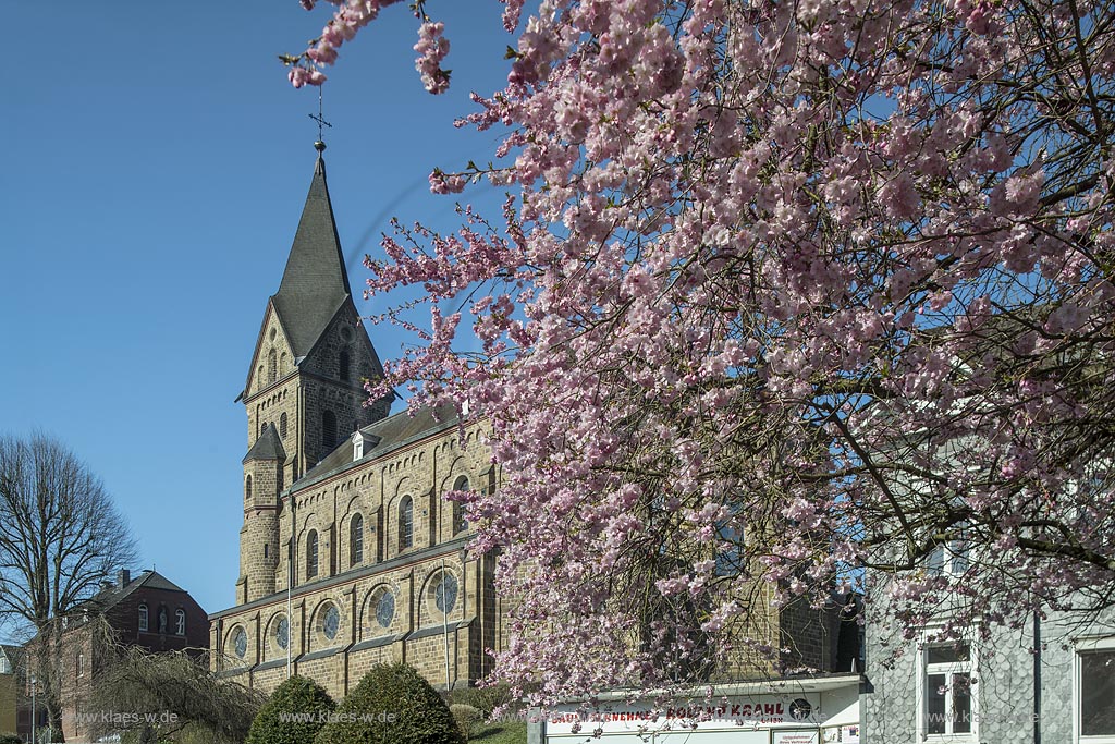 Hueckeswagen, St. Mariae Himmelfahrt, Katholische Kirche im Fruegling zur Kirschbluete; Huekeswagen Catholic church St. Mariae during springtime with cherry blossom.