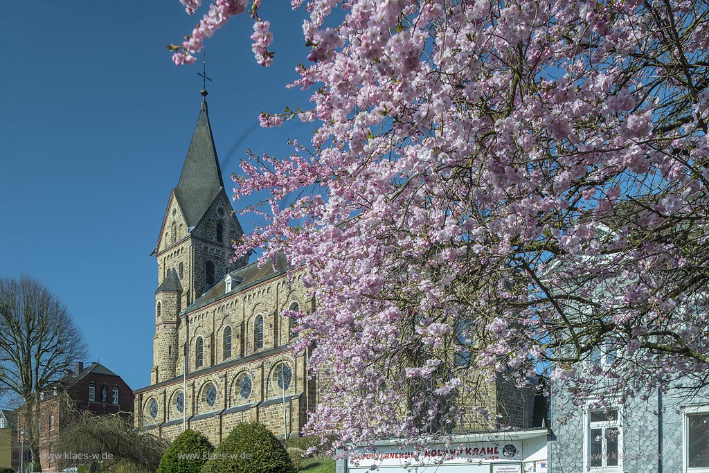 Hueckeswagen, St. Mariae Himmelfahrt, Katholische Kirche im Fruegling zur Kirschbluete; Huekeswagen Catholic church St. Mariae during springtime with cherry blossom.