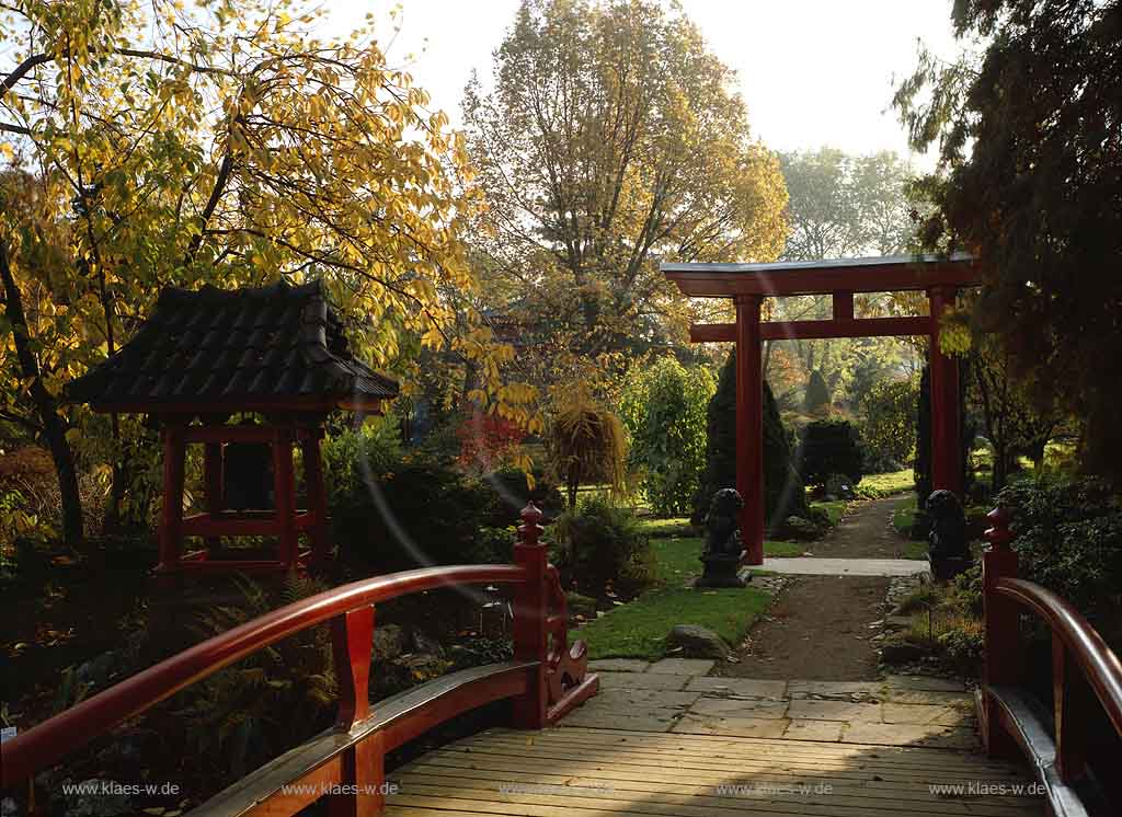 Leverkusen, Regierungsbezirk Kln, Blick in Japanischen Garten im Herbst
