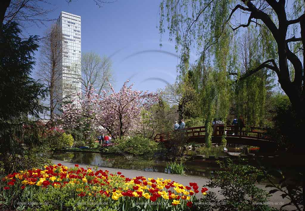 Leverkusen, Regierungsbezirk Kln, Blick in Japanischen Garten im Frhling, Fruehling, mit Bayer Hochaus und Besuchern