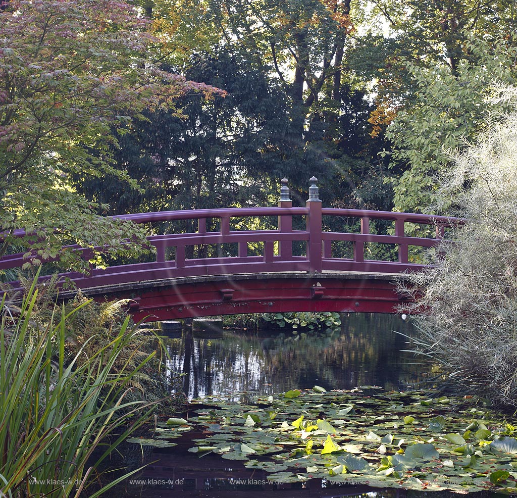Leverkusen Japanischer Garten gebogene Brucke ueber einen kleinen Teich; Japanese garden in Leverkusen with a bridge over a pond