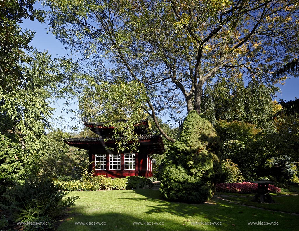 Leverkusen Japanischer Garten mit Teehaus im Herbst; Japanese garden in Leverkusen with teahouse in autumn