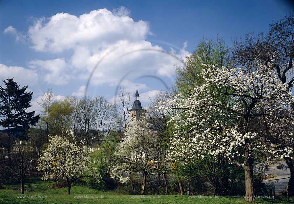 Lindlar, Oberbergischer Kreis, Bergisches Land, Blick auf Obstbluehte, Obstblhte mit Sicht zur Kirche