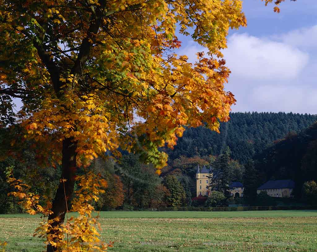 Odenthal, Rheinisch-Bergischer-Kreis, Blick auf Schloss Stauweiler und Landschaft im Herbst