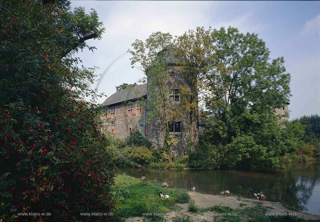 Ratingen, Kreis Mettmann, Blick auf Burg, Wasserburg Haus zum Haus mit Teich und Enten
