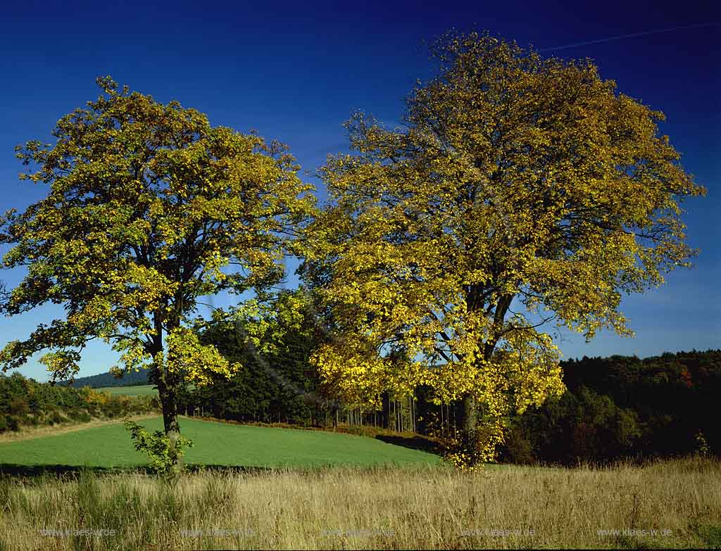 Hasbach, Reichshof, Oberbergischer Kreis, Bergisches Land, Landkreis Kln, Blick auf Landschaft, Herbstlandschaft 