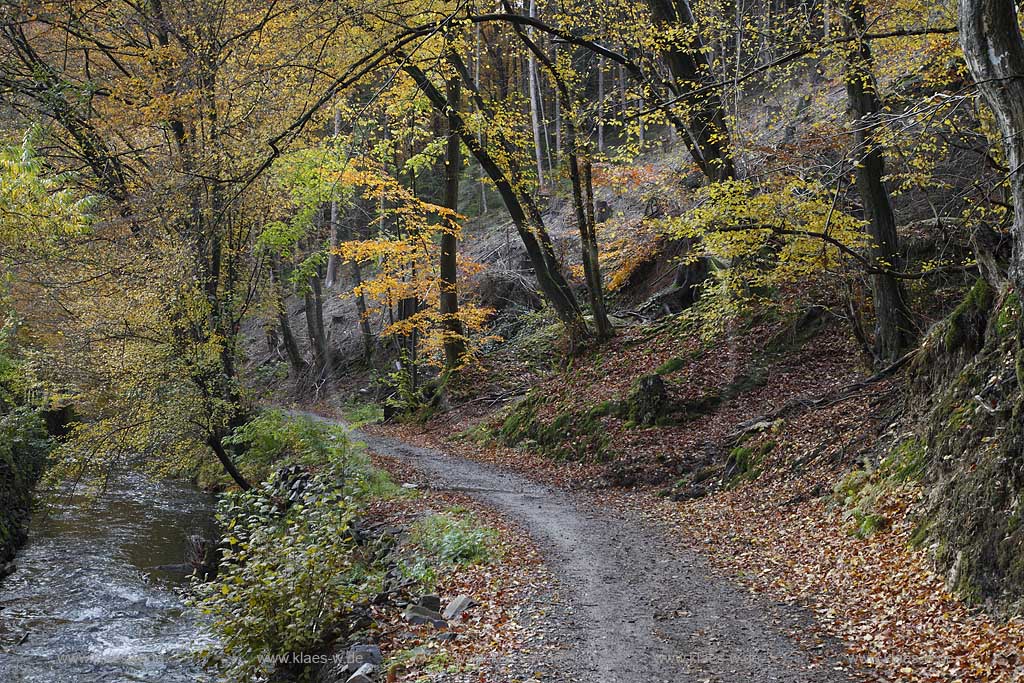 Remscheid Eschbachtal, Roentgenweg mit Eschbach im Herbst; Remscheid Eschbach valley view onto the hiking path Roentgenweg and Eschbach beck in autumn 