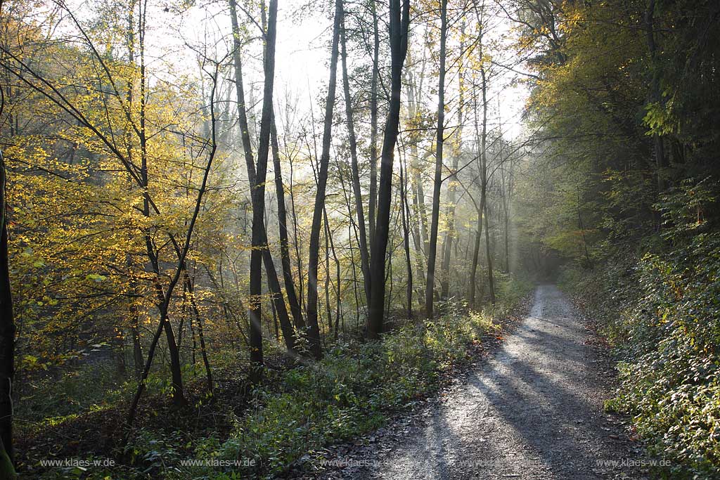 Remscheid Eschbachtal, Roentgenweg mit Eschbach im Herbst; Remscheid Eschbach valley in autumn