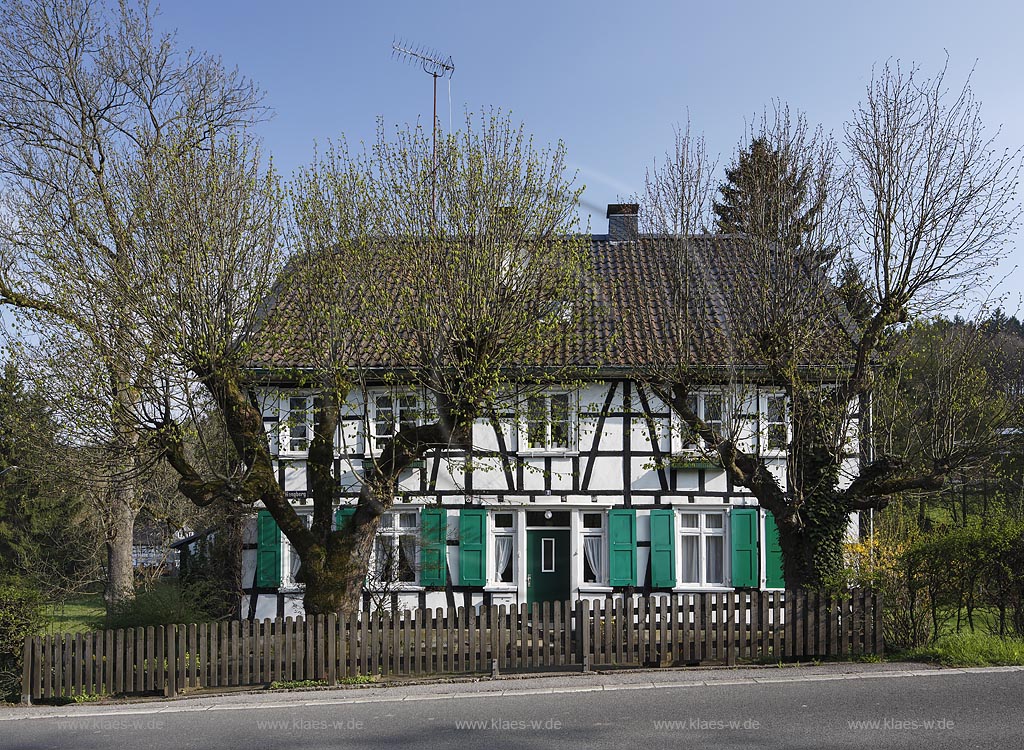 Remscheid Lennep, Doerpmuehle, Blick auf ein Fachwerkhaus hinter Linden; Remscheid Lennep, Doerpmuehle, view to a frame house behind trees Linden.