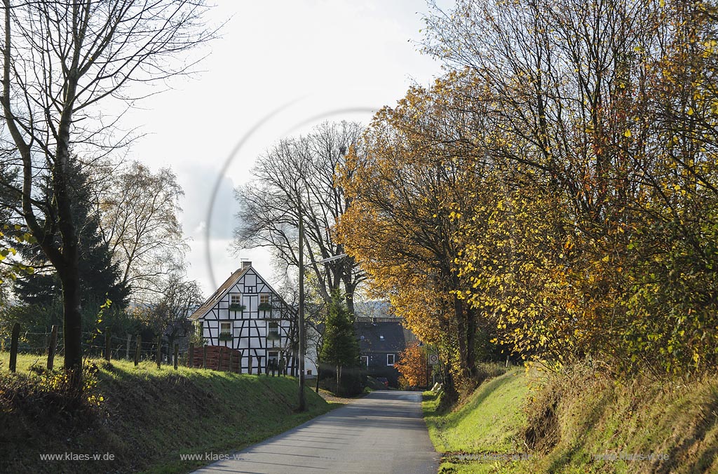 Wermelskirchen-Oberwinkelhausen, Fachwerkhaus in Herbstlandschaft; Wermelskirchen-Oberwinkelhausen, frame house in autumn landscape.