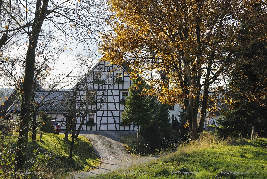 Wermelskirchen-Oberwinkelhausen, Fachwerkhaus in Herbstlandschaft; Wermelskirchen-Oberwinkelhausen, frame house in autumn landscape.