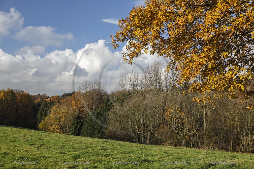 Wermelskirchen-Oberwinkelhausen, Blick in die Herbstlandschaft; Wermelskirchen-Oberwinkelhausen, view to the landscape in autumn.