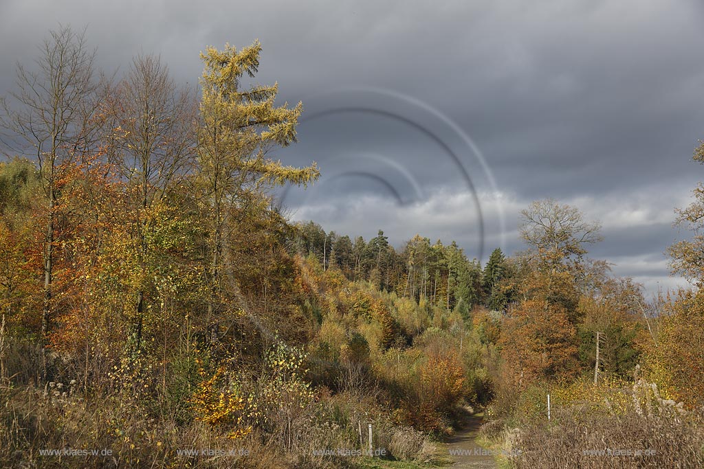 Wermelskirchen, Rundwanderweg "Hohe Mark" im Herbst; Wermelskirchen, Circular route "Hohe Mark" in autumn.