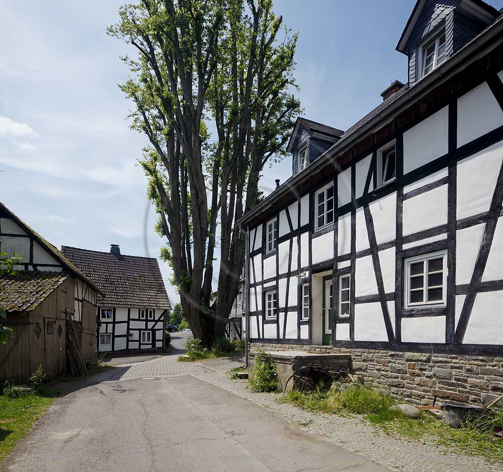 Wiehl Bierenbachtal, Lindenweg mit alten Fahwerkhusern, Wiehl-Biernbachtal Lindenweg with old frame houses
