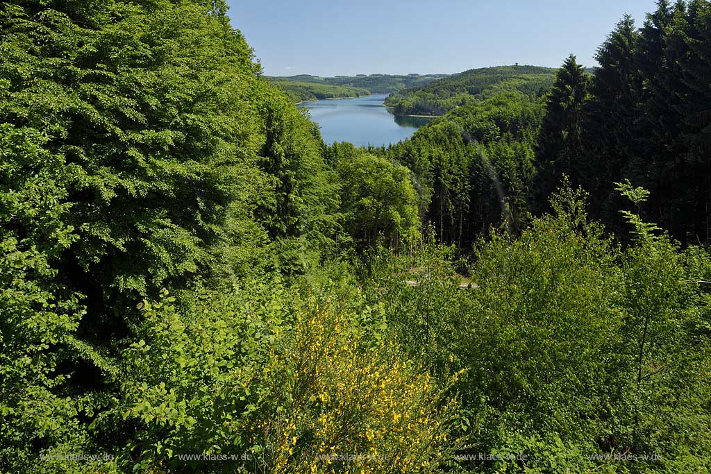 Blick ueber Baeume auf die Wiehltalsperre; view over trees on to the barrage fixe of Wiehl