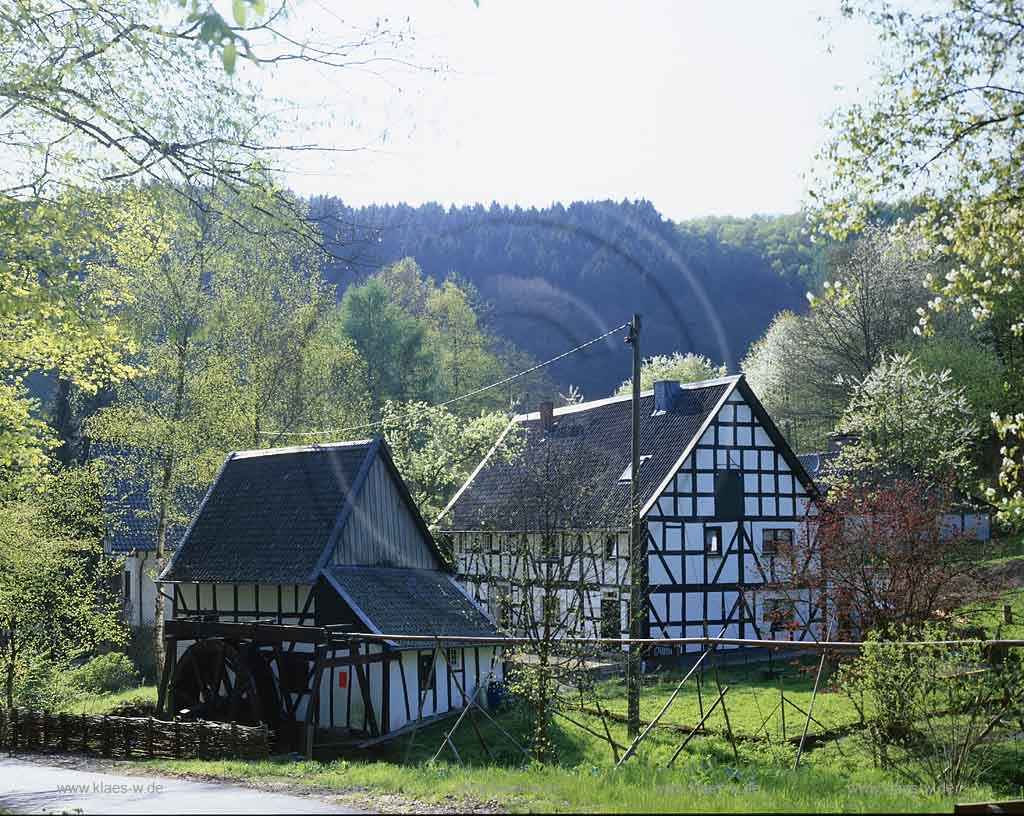 Altwindeck, Windeck, Rhein-Sieg-Kreis, Blick auf Historische Muehle, Mhle, Mehlmuehle, Mehlmhle im Frhling, Fruehling
