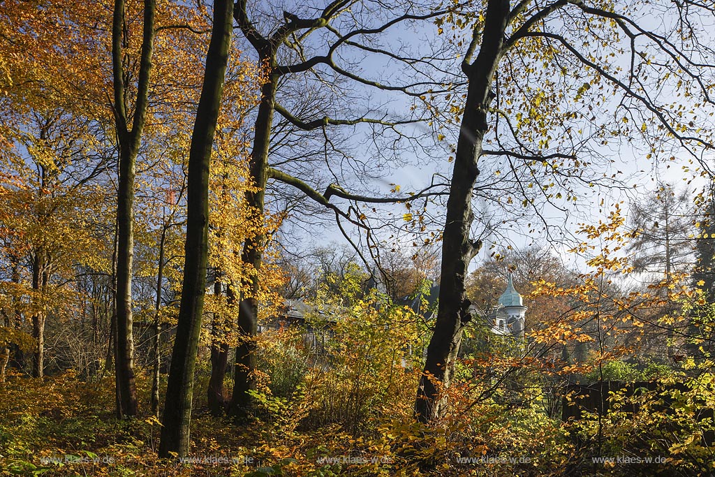 Wuppertal Elberfeld, Herbststimmung auf der Koenigshoehe mit Sommerhaus Villa von der Heydt; Wuppertal Elberfeld, autumn mood at the Koenigshoehe with summer residence Villa von der Heydt.