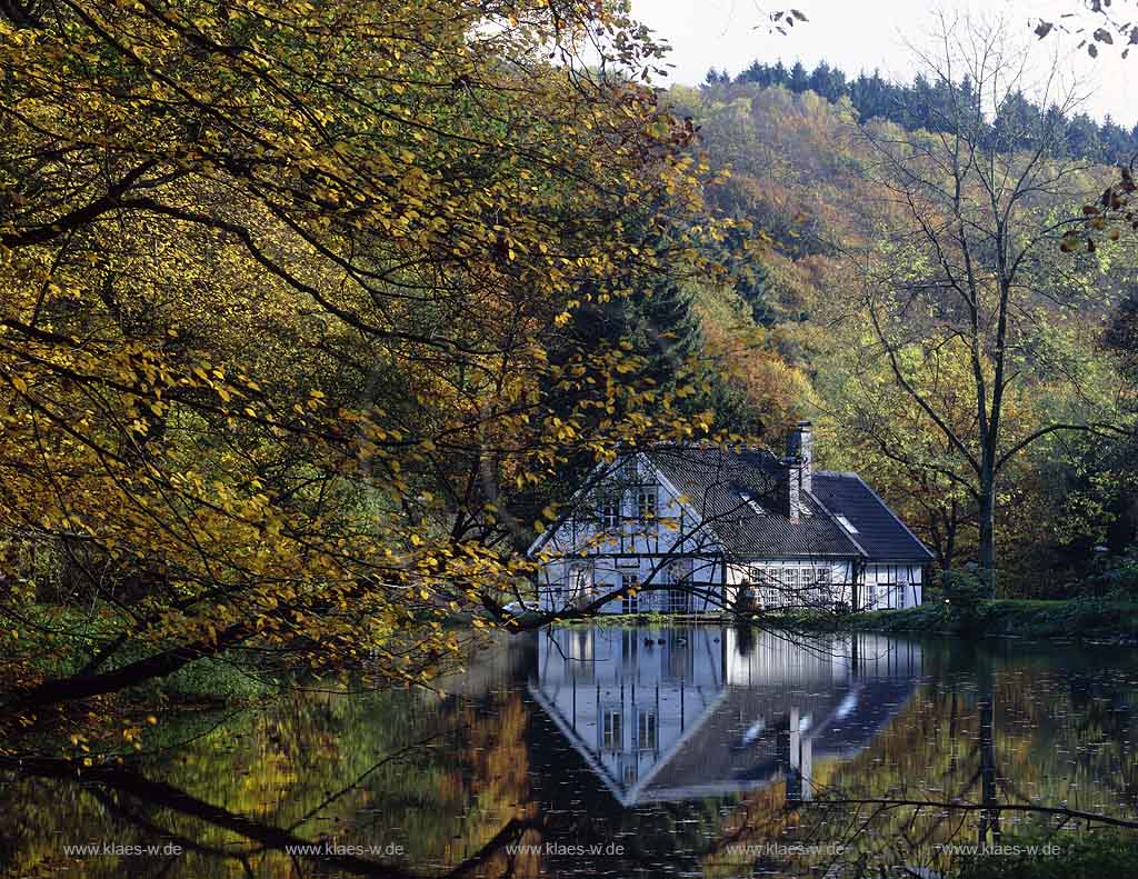 Ronsdorf, Wuppertal, Blick auf Kaeshammer, Kshammer mit Teich in Herbstlandschaft