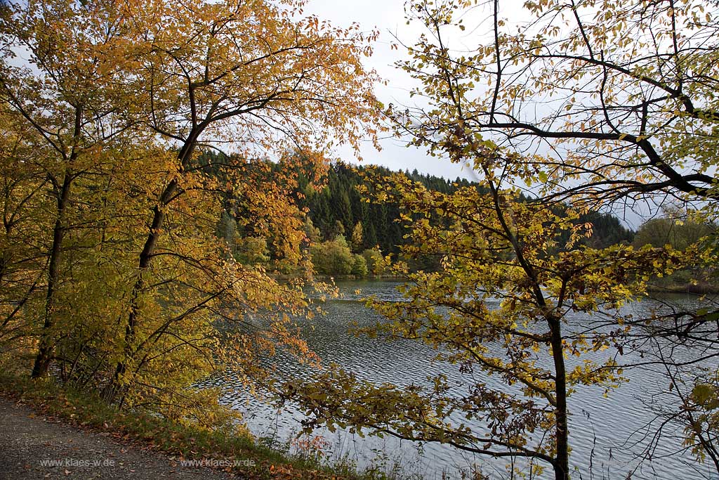 Wuppertalsperre,Wupper Vorsperre in stimmungsvoller Herbstlandschaft; Wuppertal barrage in atmospheric autumn landscape