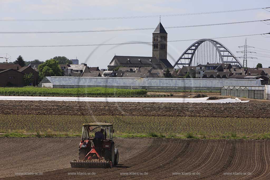 Blick auf Landwirt im Trekker, Traktor beim pfluegen von Kohlfeldern, Acker in Dsseldorf, Duesseldorf-Hamm