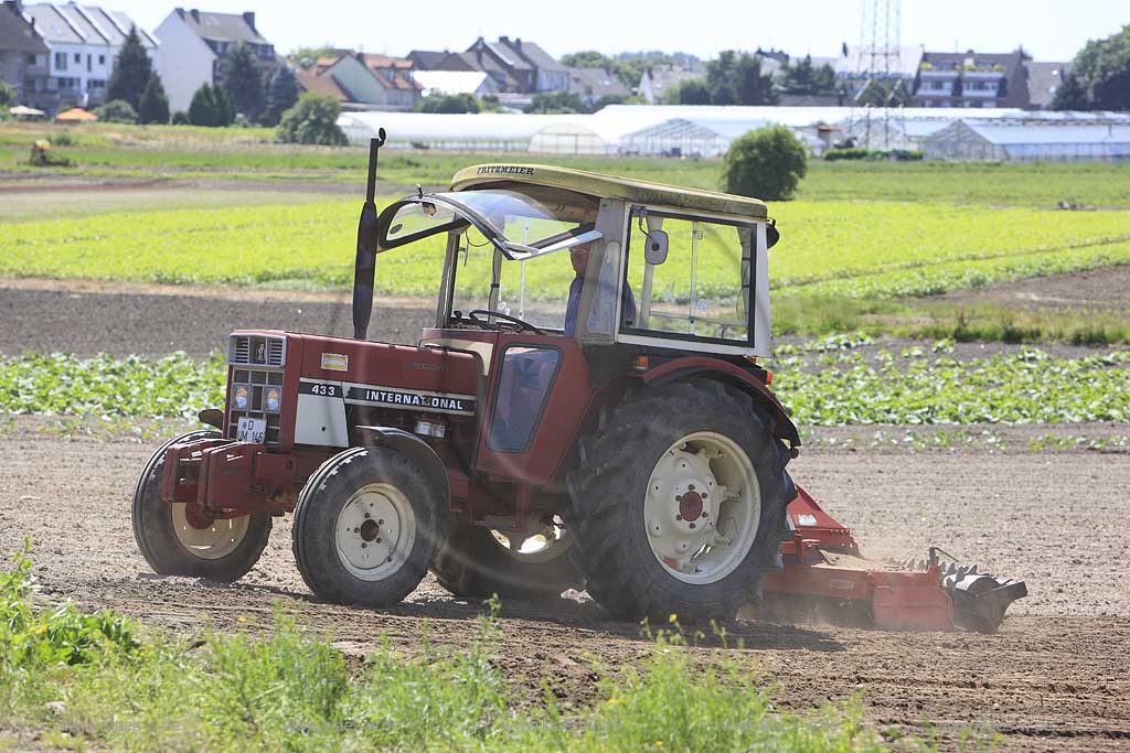 Blick auf Landwirt im Trekker, Traktor beim pfluegen von Kohlfeldern, Acker in Dsseldorf, Duesseldorf-Hamm