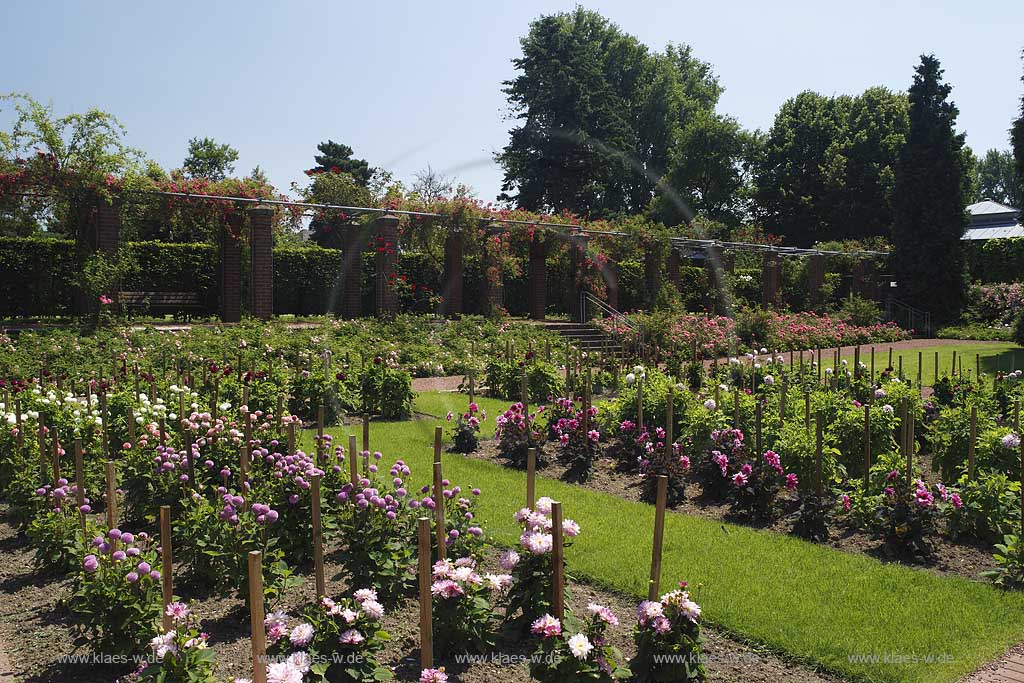 Blick in den Volksgarten in Dsseldorf, Duesseldorf-Wersten mit Sicht auf Blumenbeete und Rasenflaechen in Sommerstimmung