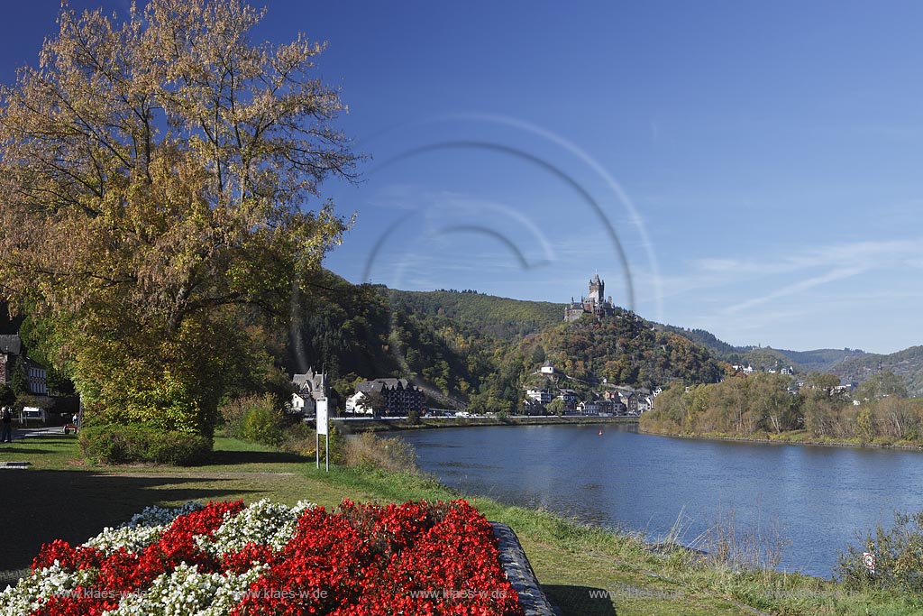 Cochem, Blick vom Moselufer ueber den Fluss zur Reichsburg in Herbstlandschaft; Cochem, view from Moselle riverfront onto castle Reichsburg in autumn landscape