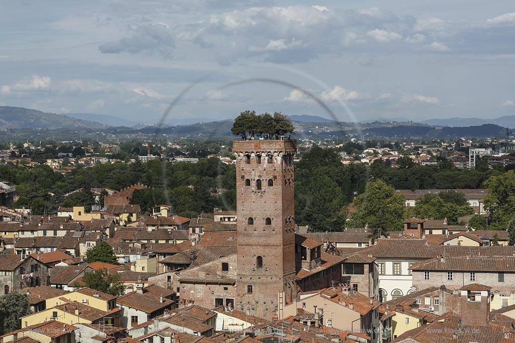 Lucca, Blick vom Torre del Ore zum Torre Guinigi; Lucca, view from Torre del Ore to the Torre Guinigi..