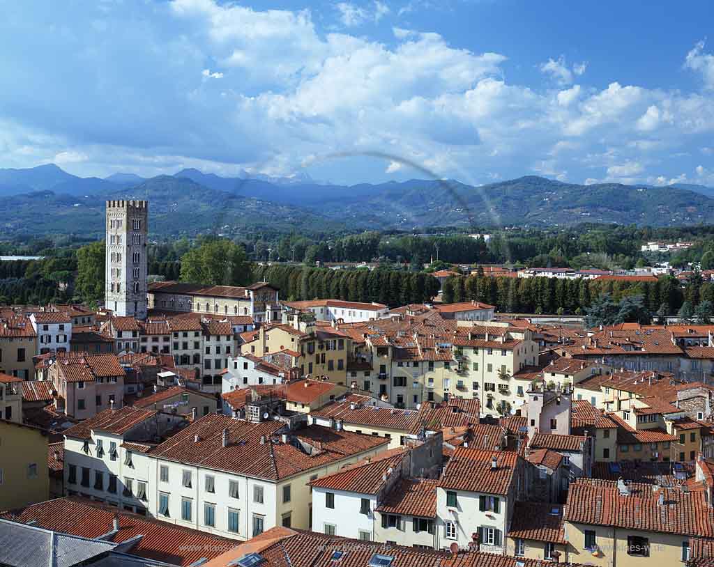 Lucca, Toskana, Tuscany, Blick auf Stadt und Landschaft vom Guinigi Turm