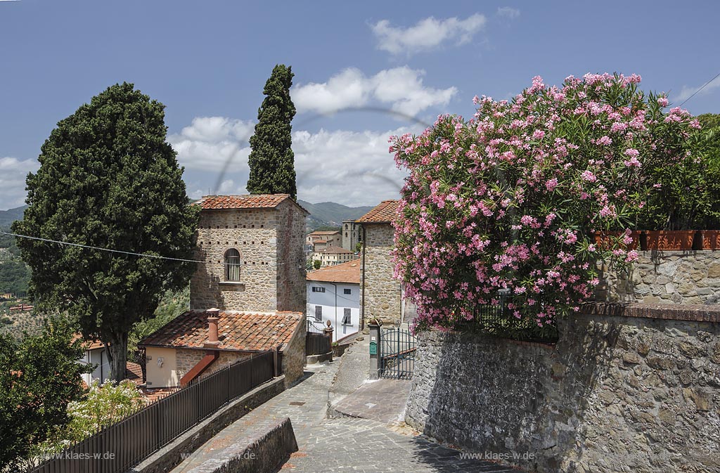 Montecatini Alto, Altstadtwinkel mit bluehendem Oleander; Montecatini Alto, angle of the old town with oleander.