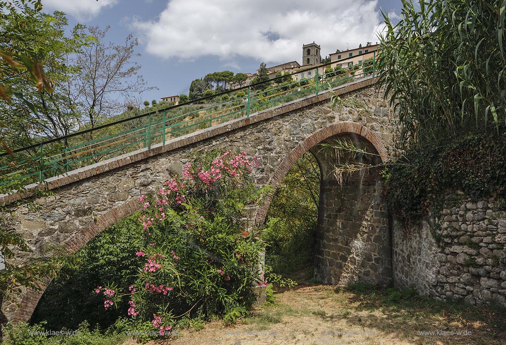 Blick auf Montecatini Alto mit Viadukt und bluehendem Oleander; view to Montecantini Alto with viaduct and oleander in flower.