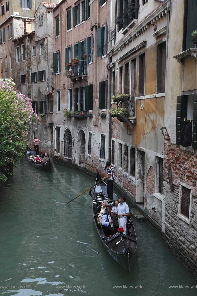 Venedig ein Kanal mit zwei Gondeln und Gondoliere, Akkordeon Spieler und Saenger, Gondel Serenadensaenger; Venice a canal with two gondola with gondoliers, accordion player; serenade singer