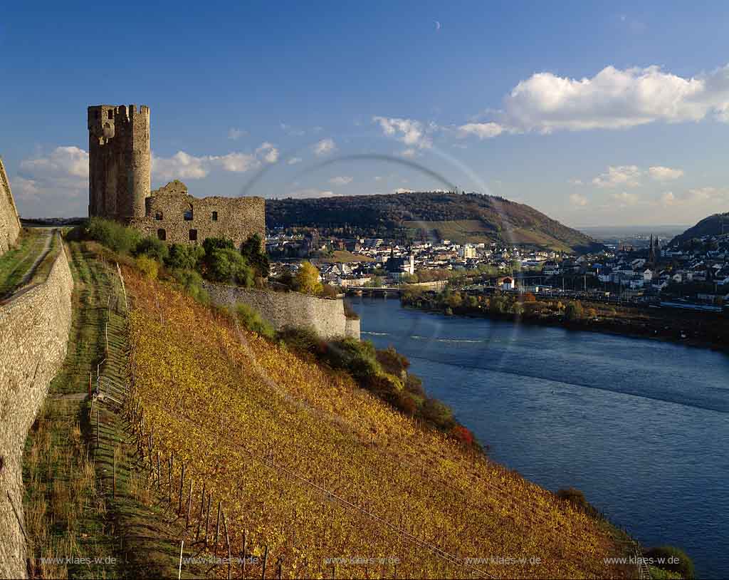 Rdesheim, Ruedesheim am Rhein, Rheingau-Taunus-Kreis, Mittelrhein, Blick auf Burg, Burgruine Ehrenfels, Rhein und Ort im Herbst