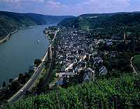 Oberwesel, Rhein-Hunsrck-Kreis, Mittelrhein, Panoramablick, Blick ber, ueber Weinstock auf Stadt, Rhein und Landschaft