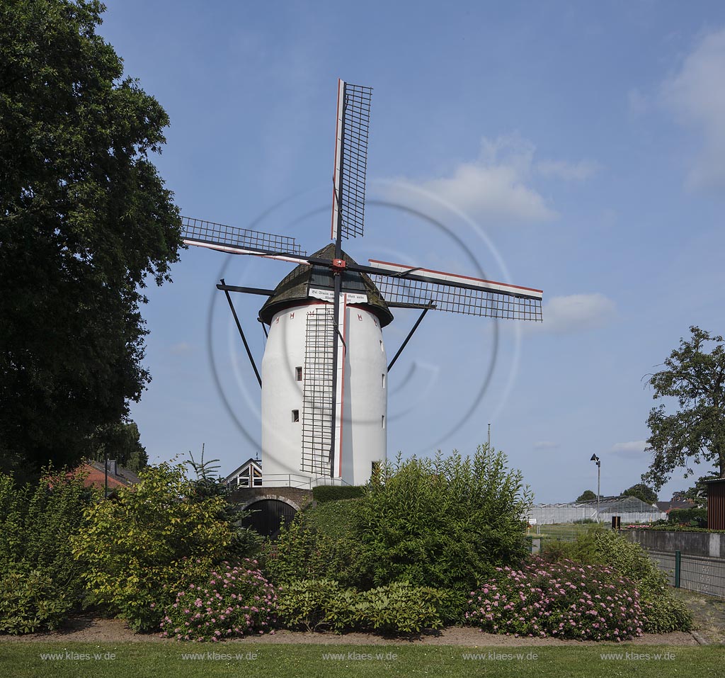 Geldern Walbeck, Blick auf die Steprather Muehle, sie stammt aus dem 16. Jahrhundert und ist die aelteste voll funktionierende Windmuehle Deutschlands;Geldern Walbeck, view to the mill Steprather Muehle.