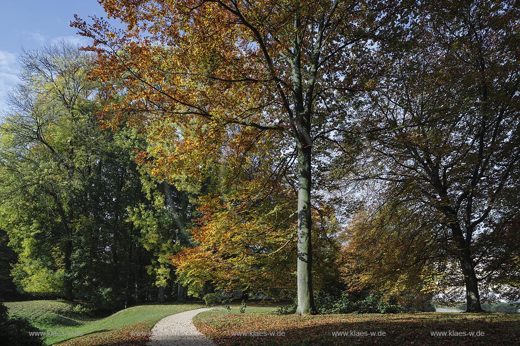 Juechen, Schlosspark  Schloss Dyck in Herbststimmung; Juechen, castle Schloss Dyck, royal garden in autumn.