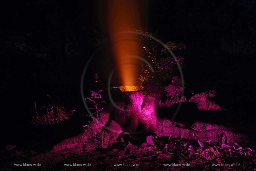 Schlosspark Schloss Dyck in Jchen Juechen Nachtaufnahme whrend der Illumina mit im Kunstlicht illuminiertem Baumstumpf mit austretendem vulkanhnlichem Dampf 
