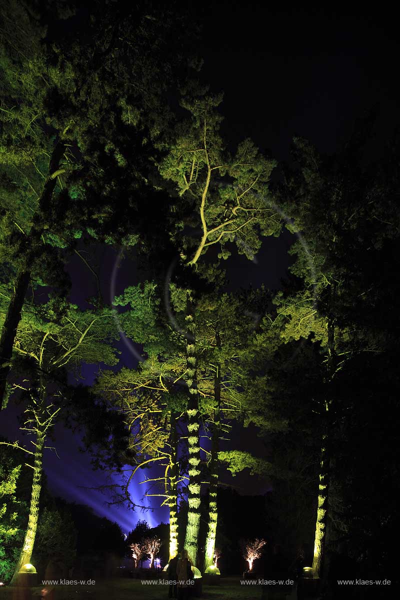 Schlosspark Schloss Dyck in Jchen Juechen Nachtaufnahme whrend der Illumina mit im Kunstlicht illuminierten Bumen Baeumen