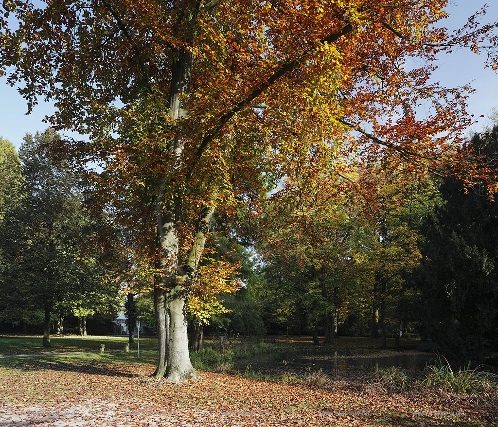 Willich-Neersen, Schlosspark Neersen; Willich-Neersen, royal garden Neersen.
