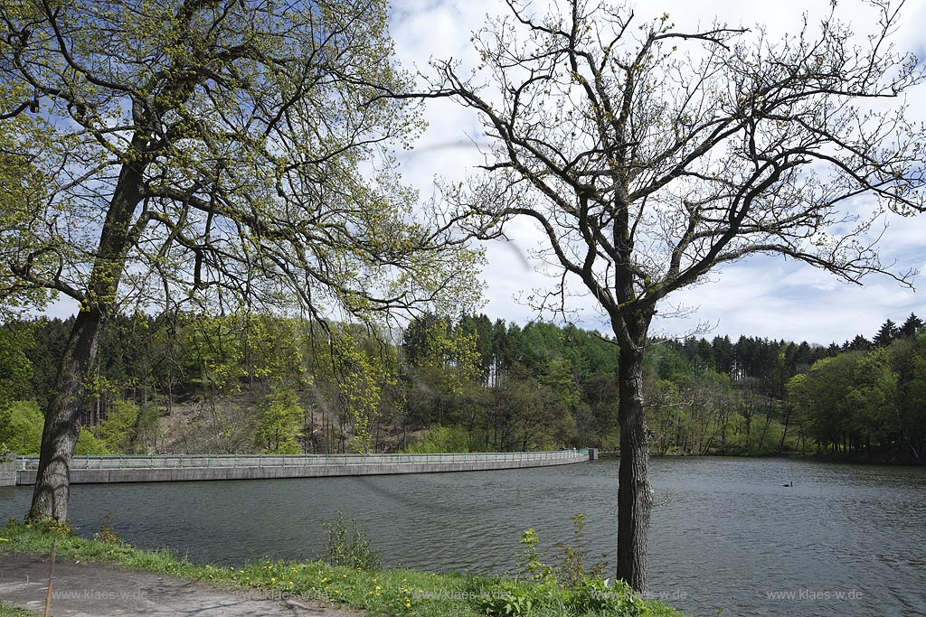 Ennepetal, Blick auf die Heilenbecker Talsperre, die heute fast ausschliesslich der Trinkwasserversorgung dient; Ennepetal, view to the barrier lake Heilenbecker Talsperre.
