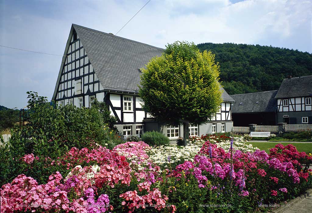 Eslohe, Frielinghausen, Hochsauerlandkreis, Blick auf Bauerngarten mit Fachwerkhaus, Sauerland