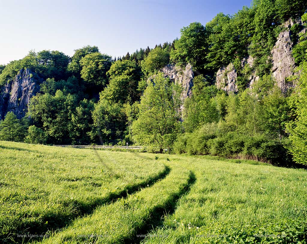 Hoennetal, Kreis Arnsberg, Sommerlandschaft mit Blick auf Felsen, Sauerland
