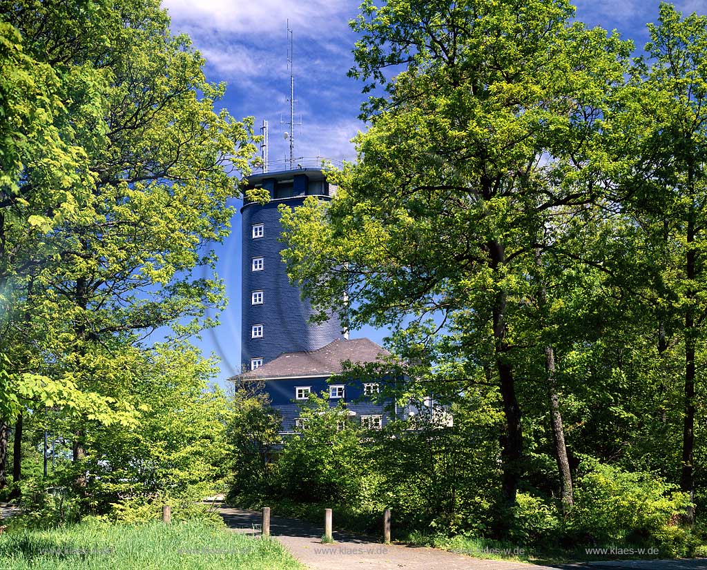 Hohe Bracht, Kreis Olpe, Blick durch Baeume auf Aussichtsturm, Sauerland