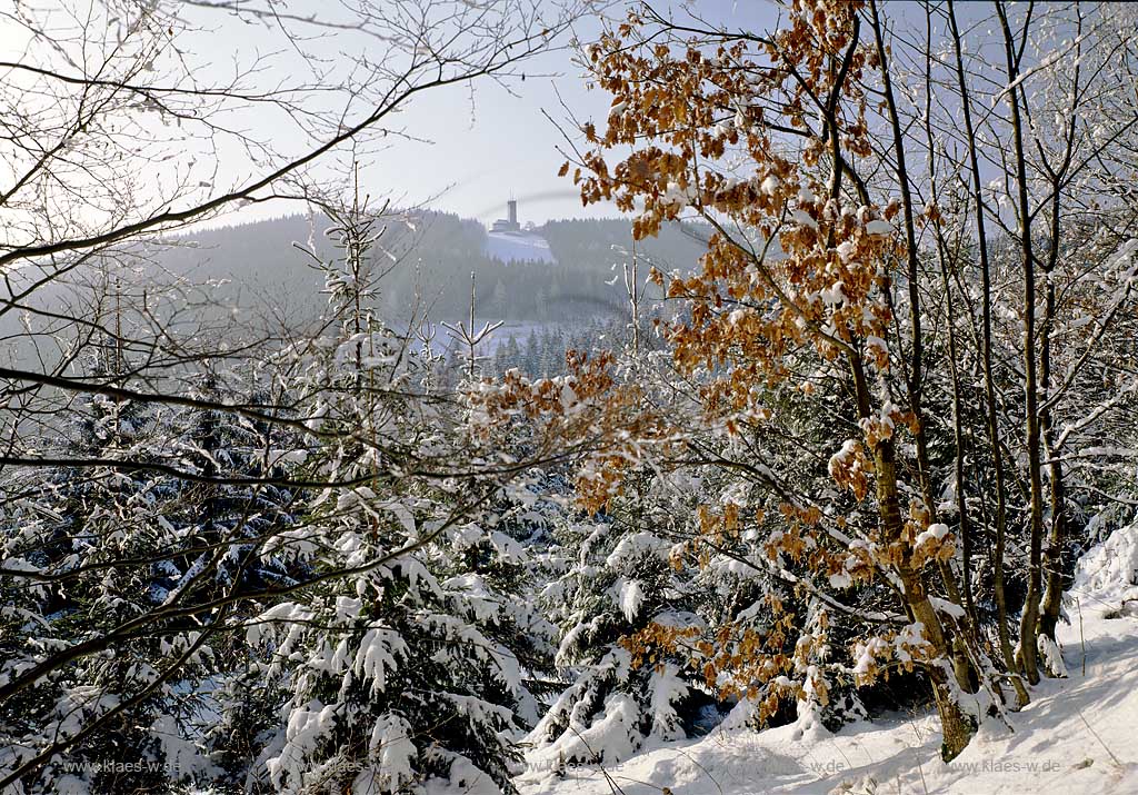 Hohe Bracht, Kreis Olpe, Blick durch Winterlandschaft auf Aussichtsturm, Sauerland