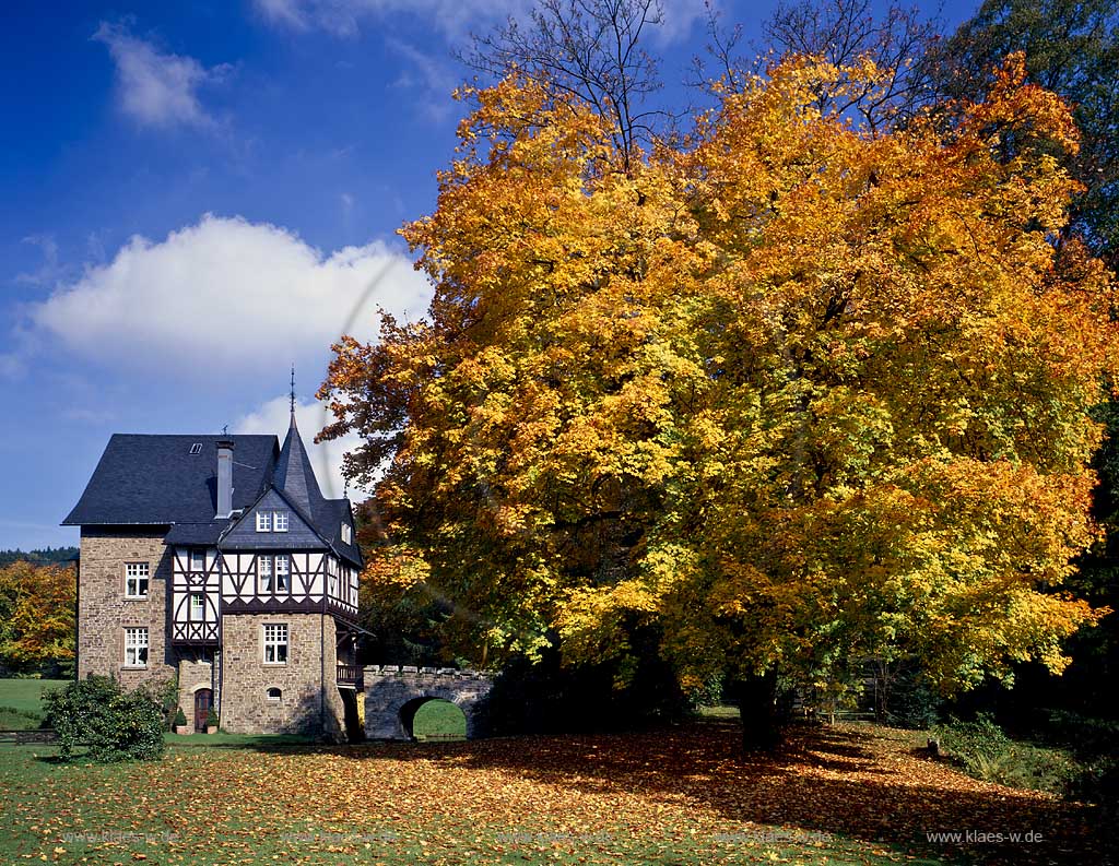 Meinerzhagen, Maerkischer Kreis, Mrkischer Kreis, Blick auf Schloss Badingen, mit Herbstbaum, Sauerland