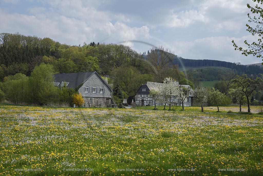 Meschede Berge, Blick auf einen Fachwerkhof hinter einer  bluehenden Fruehlingswiese; Meschede Berge, view to a frame yard behind a flowering grassland in spring.