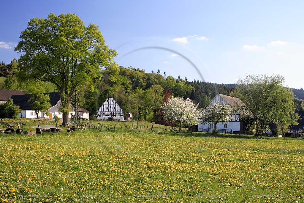 Schmallenberg, Almert, Hochsauerlandkreis, Blick auf Fachwerkhof und Landschaft, Sauerland